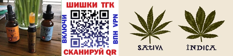 Cannafood конопля  Суджа 